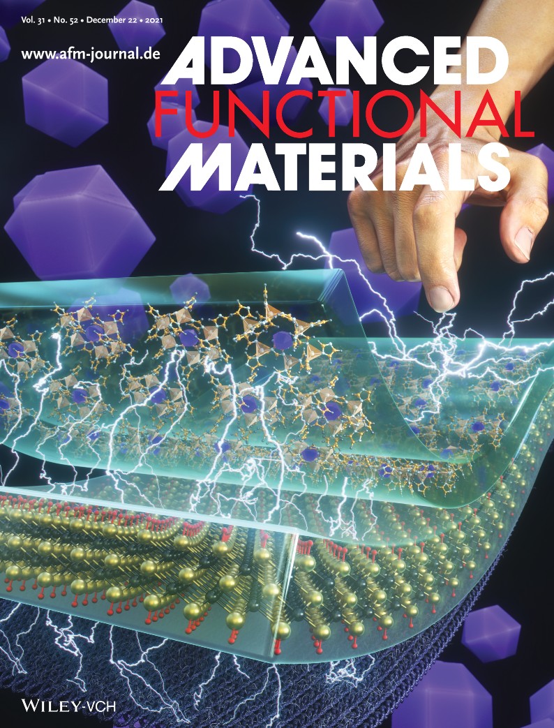 Cover Image Published on Advanced Functional Material