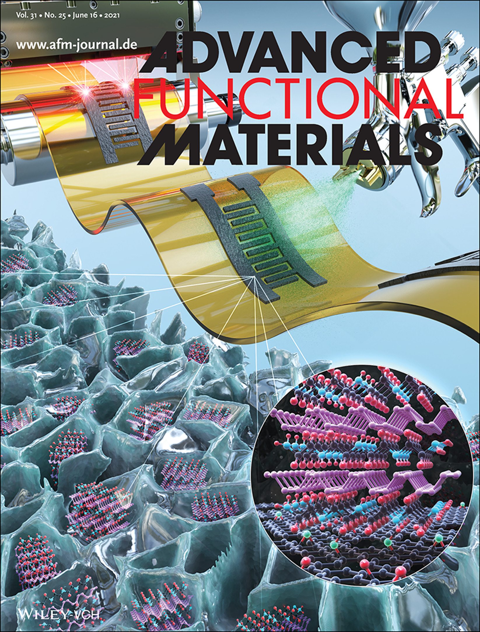 Cover Image Published on Advanced Functional Material