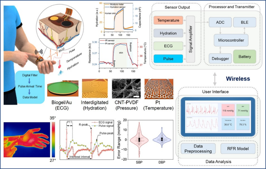 Wearable Multifunctional Epidermal Patch for Continuous and Reliable Blood Pressure Monitoring with Simultaneous Tracking of Physiological Health States