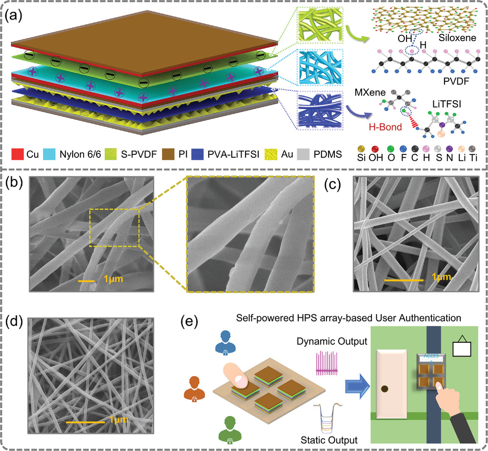 Siloxene/PVDF Compostie Nanofibrous Membrane for High-Performance Triboelectric Nanogenerator and Self-Powered Static and Dynamic Pressure Sensing Applications