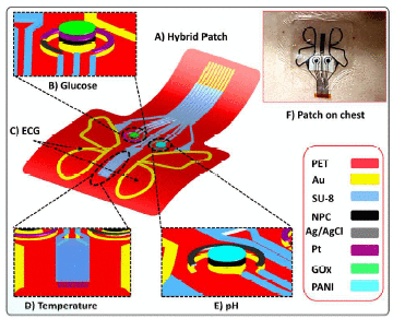 Nanoporous Carbon-Based Wearable Hybrid Biosensing Patch for Real-Time and in Vitro Healthcare Monitoring