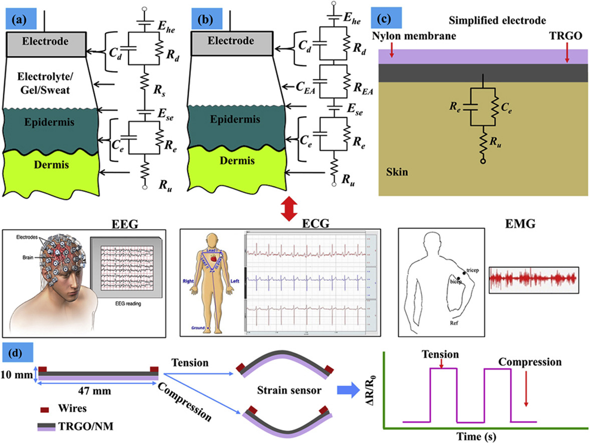 Thermally reduced graphene oxide-nylon membrane based epidermal sensor using vacuum filtration technique for wearable electrophysiological signals and human motion monitoring