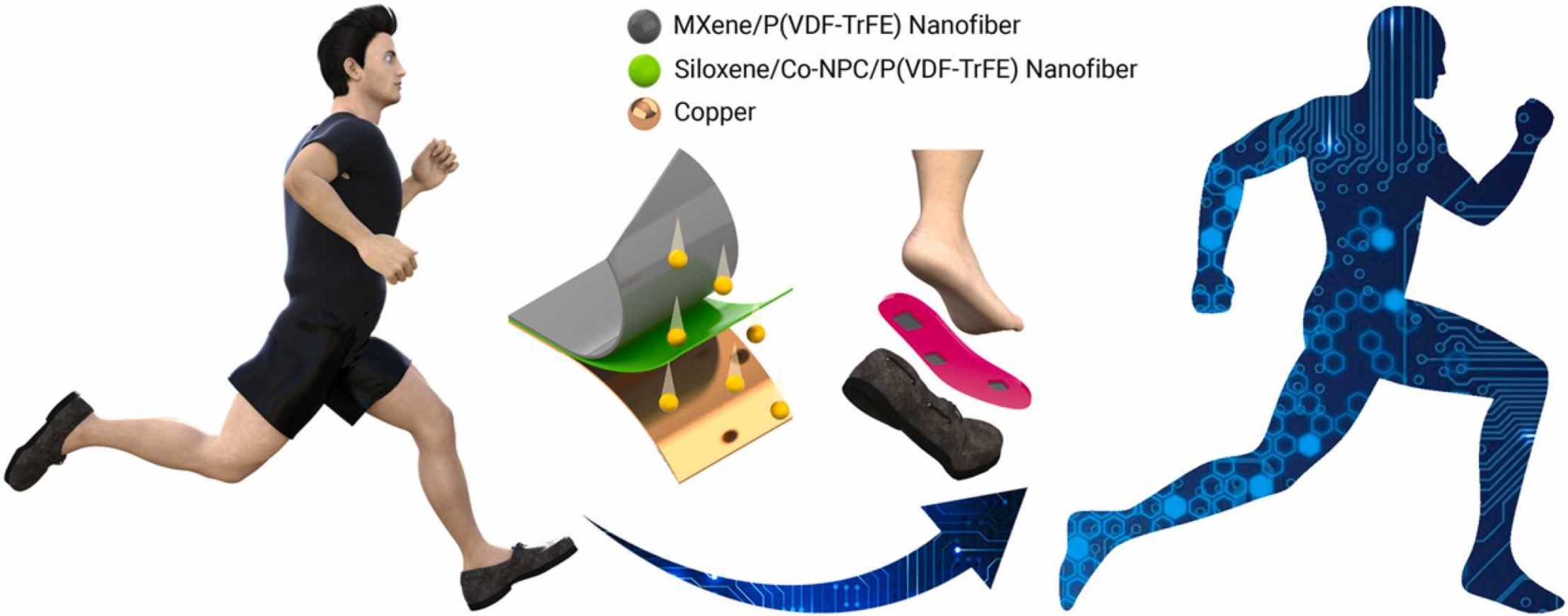 Intermediate nanofibrous charge trapping layer-based wearable triboelectric self-powered sensor for human activity recognition and user identification