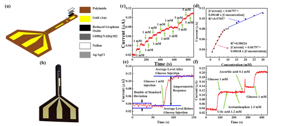A Polymer Microneedle-Based Glucose Sensor for Wearable Continuous  Glucose Monitoring