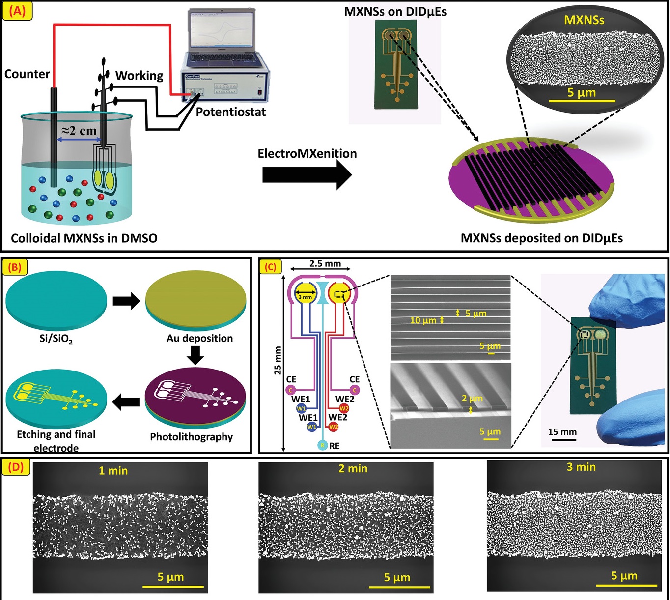 An Electrodeposited MXene‐Ti3C2Tx Nanosheets Functionalized by Task‐Specific Ionic Liquid for Simultaneous and Multiplexed Detection of Bladder Cancer Biomarkers
