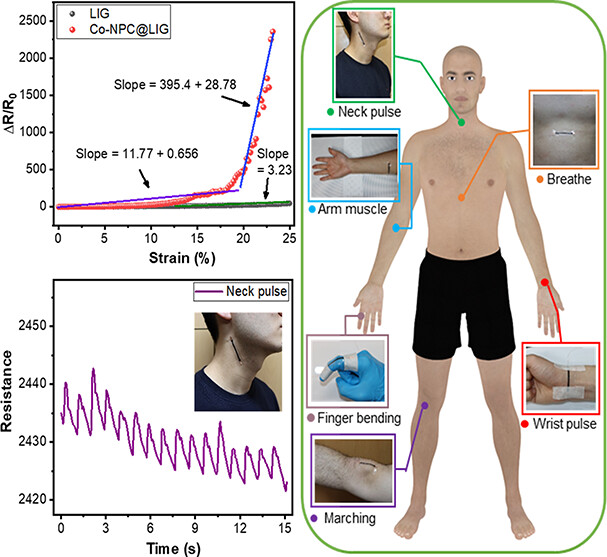 Highly Sensitive and Reliable Piezoresistive Strain Sensor Based on Cobalt Nanoporous Carbon-Incorporated Laser-Induced Graphene for Smart Healthcare Wearables