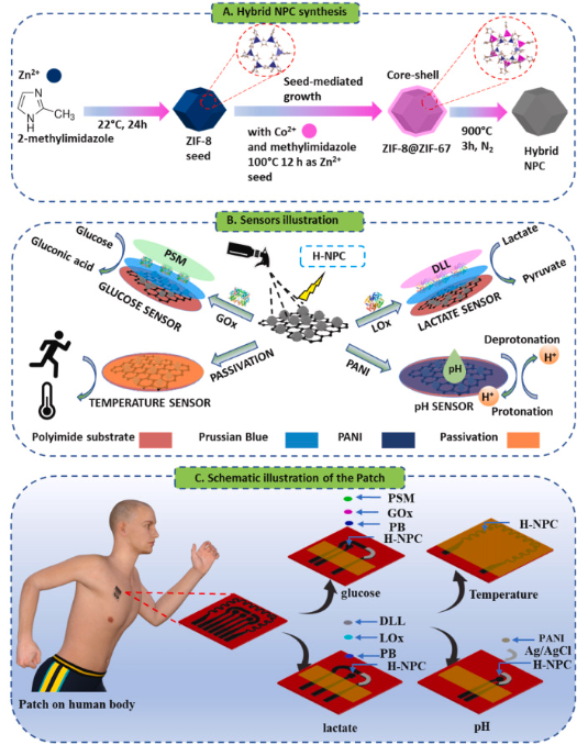 A hybridized nano-porous carbon reinforced 3D graphene-based epidermal patch for precise sweat glucose and lactate analysis