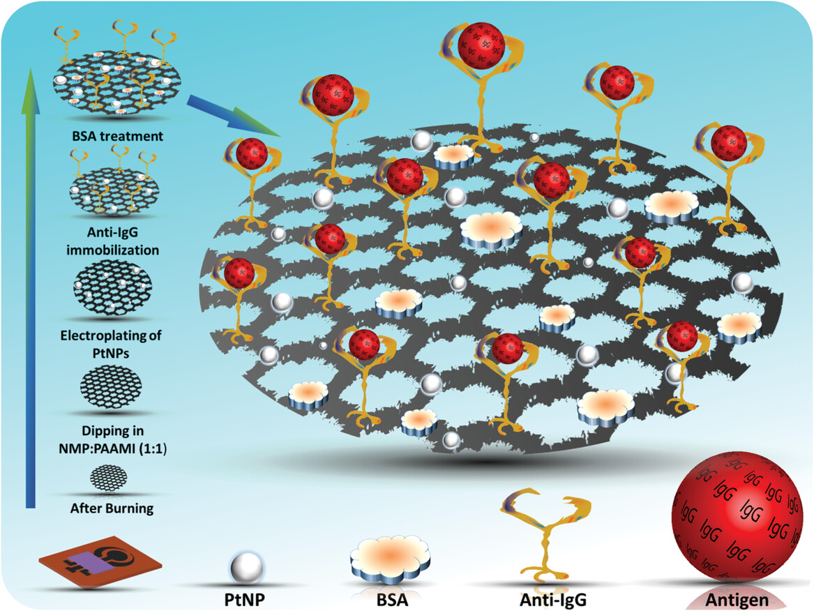 A Polyallylamine Anchored Amine-Rich Laser-Ablated Graphene Platform for Facile and Highly Selective Electrochemical IgG Biomarker Detection
