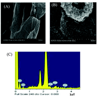 Palladium Nanoparticles on Electrochemically Reduced Chemically Modified Graphene Oxide for Non-enzymatic Bimolecular Sensing