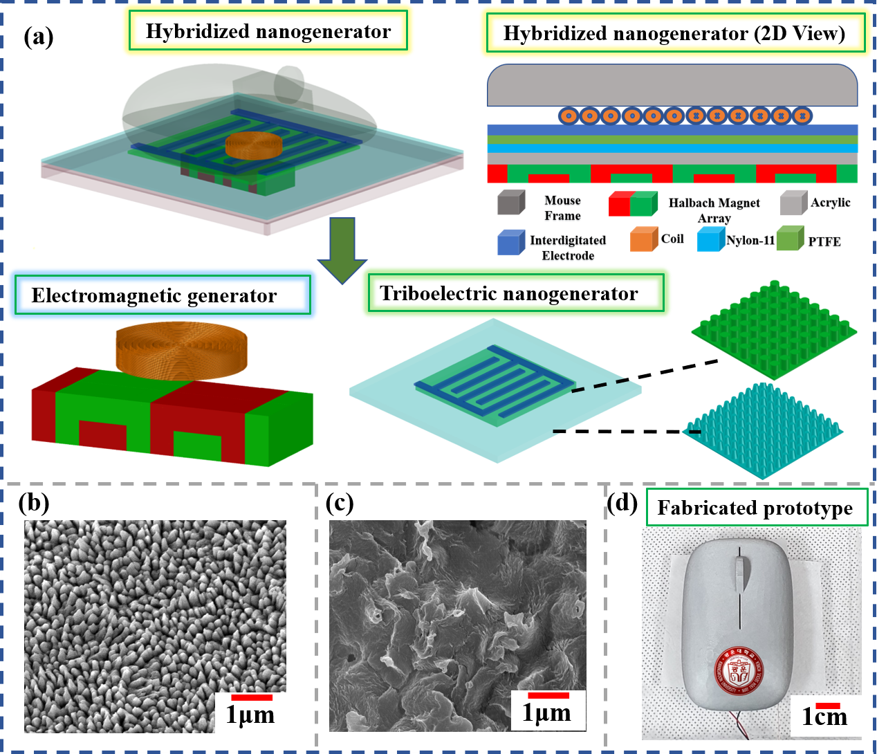 A human-machine interactive hybridized biomechanical nanogenerator as a self-sustainable power source for multifunctional smart electronics applications