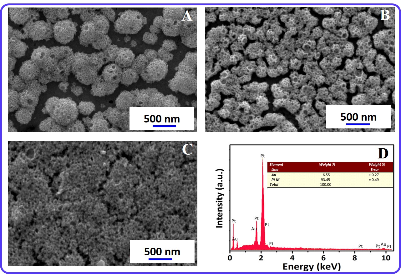Carbon‐free nano coral structured platinum electrocatalyst for enhanced methanol oxidation reaction activity with superior poison tolerance