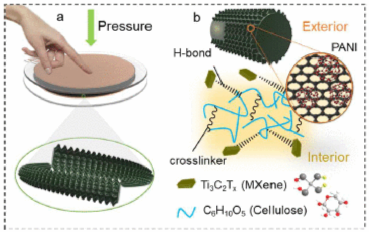 Polyaniline-Nanospikes Modified Hybrid Nanofibrous Membrane Based Flexible Piezoresistive Sensor For Physiological Signal Monitoring