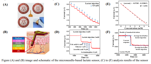Minimally invasive and flexible microneedle-based lactate sensor
