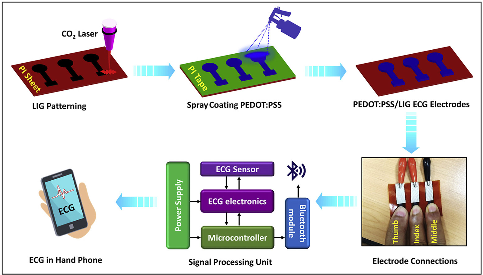 Flexible and robust dry electrodes based on electroconductive polymer spray-coated 3D porous graphene for long-term electrocardiogram signal monitoring system